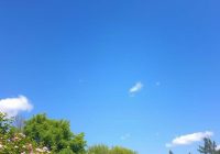 Astma oskrzelowa – objawy, przyczyny i skuteczne metody leczenia
