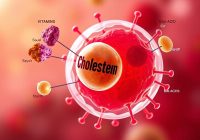 Cholesterol w organizmie: Kluczowe informacje i zalecenia zdrowotne