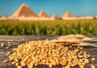 Orkisz: historia, właściwości zdrowotne i zastosowanie w kuchni