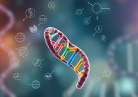 Poznaj geny: podstawowe jednostki dziedziczności i ich rolę