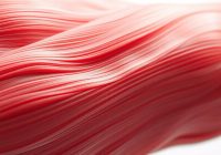 Tkanka mięśniowa: rodzaje, budowa, funkcje i mechanizmy działania