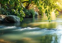 Ćwiczenia relaksacyjne i ich korzyści dla zdrowia i samopoczucia