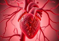 Miażdżyca – przyczyny, objawy i skuteczna profilaktyka zdrowotna